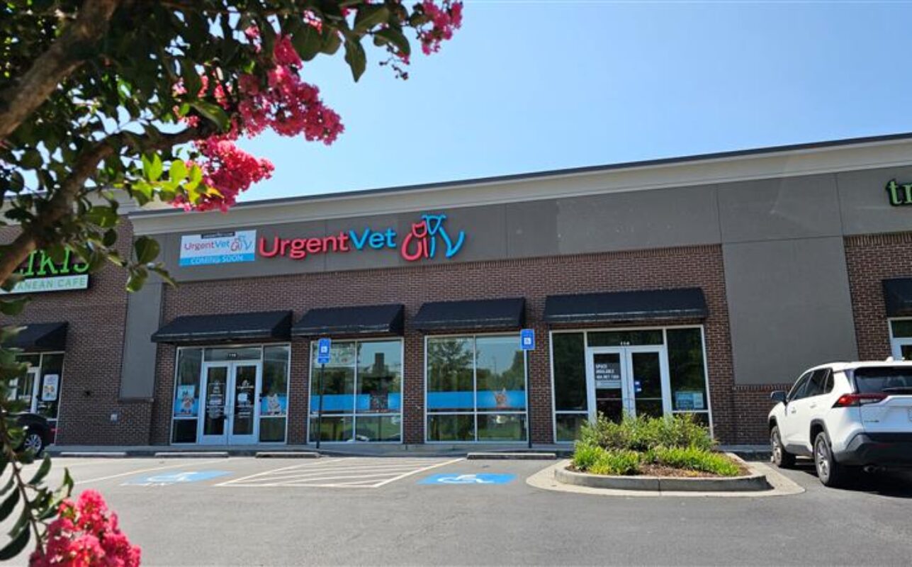 urgentvet kennesaw vet clinic - urgent veterinarian in kennesaw ga