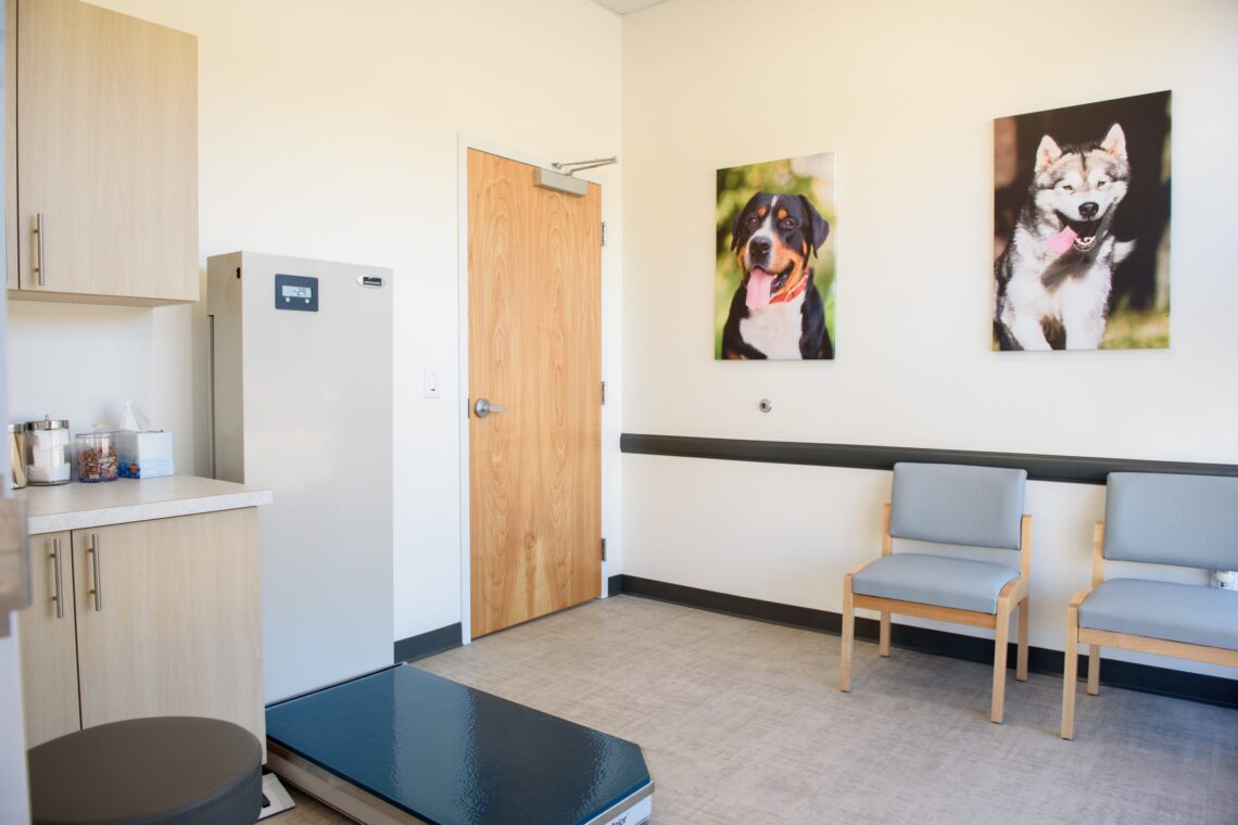 About Us Urgentvet exam room