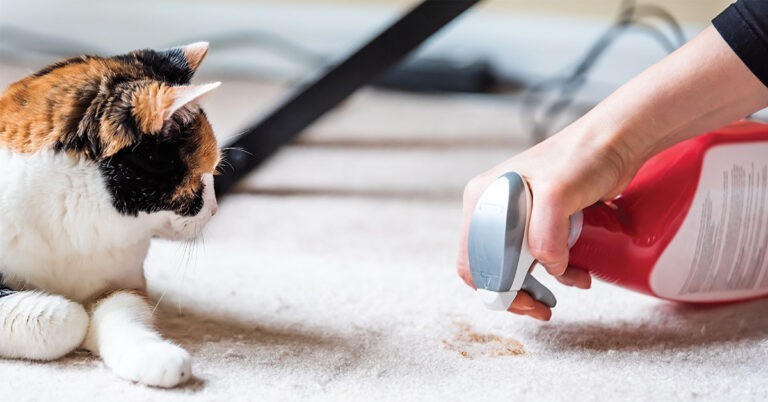 Cleaning supplies and pets