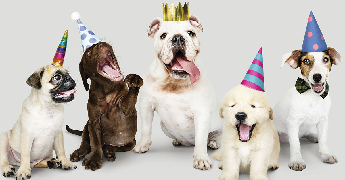 Featured image for post: Healthy New Year’s Resolutions For You and Your Pet