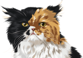 urgentvet pet clinic locations for veterinary urgent care for cats - mobile photo urgentvet pet clinic locations for veterinary urgent care for cats - mobile photo