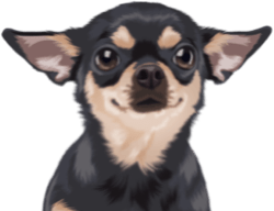 urgentvet pet clinic locations for veterinary urgent care for dogs - mobile photo urgentvet pet clinic locations for veterinary urgent care for dogs - mobile photo