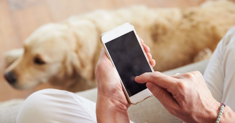 Pet Phone