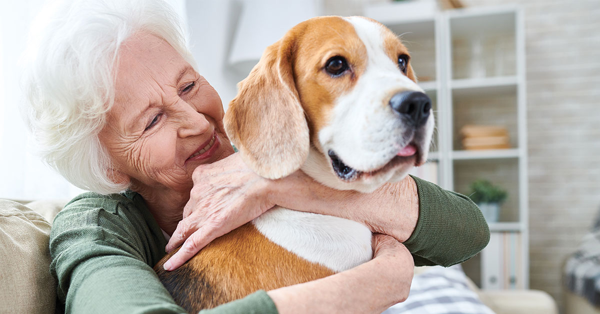 Featured image for post: Facts You Should Know During National Heartworm Awareness Month