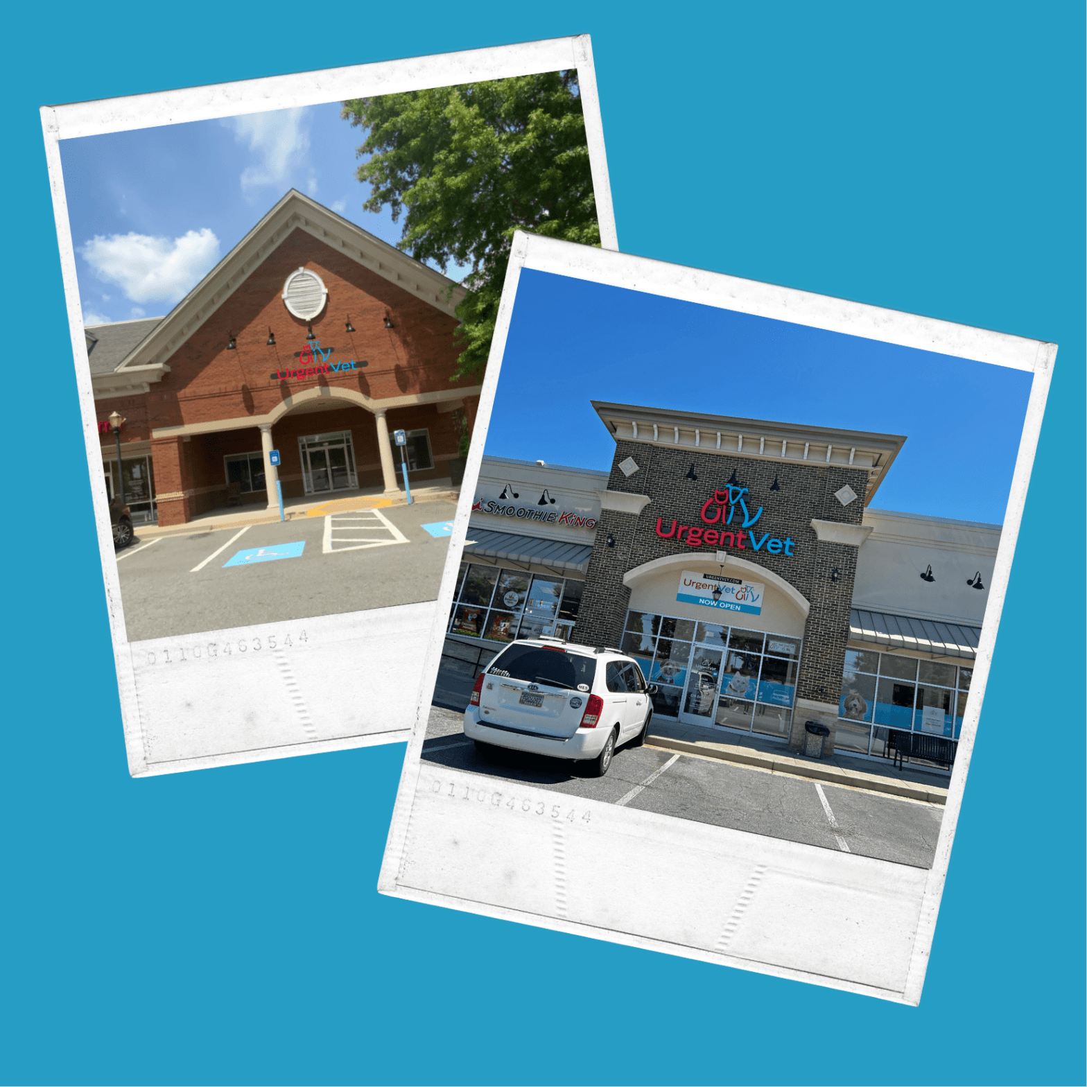 Featured image for post: UrgentVet Expands Urgent Care for Pets Concept to Georgia with Two New Clinics