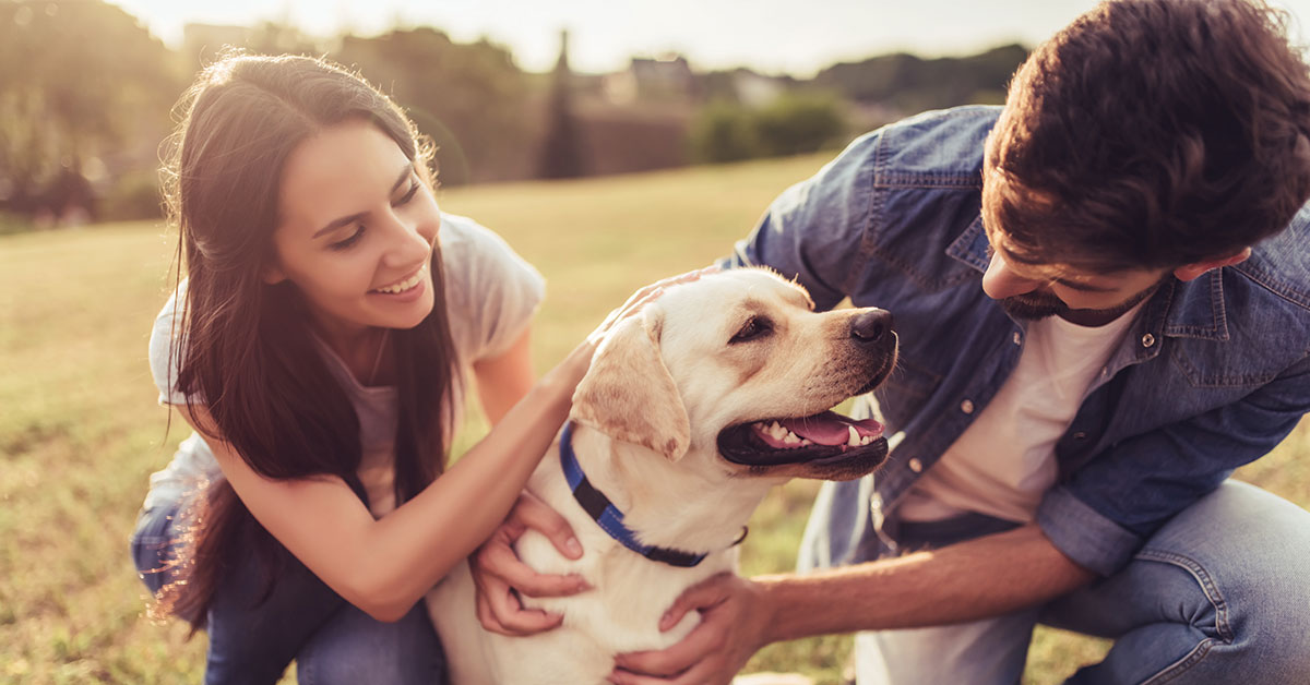 Featured image for post: Please Read This Before You Kiss Your Dog Next