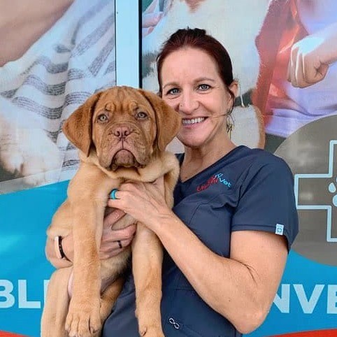 Featured image for post: After Hours Veterinary Care Concept Expands in Area