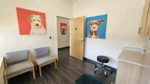 UrgentVet Dog Room scaled 2 UrgentVet Dog Room scaled 2