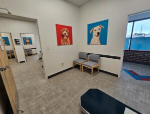 UrgentVet Park Meadows Exam Rooms 1 UrgentVet Park Meadows Exam Rooms 1