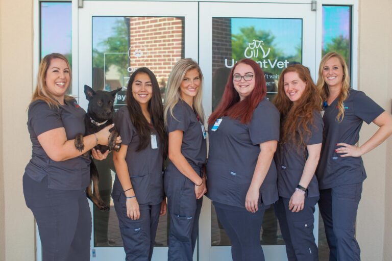 UrgentVet Is Urgent Care For Your Pet
