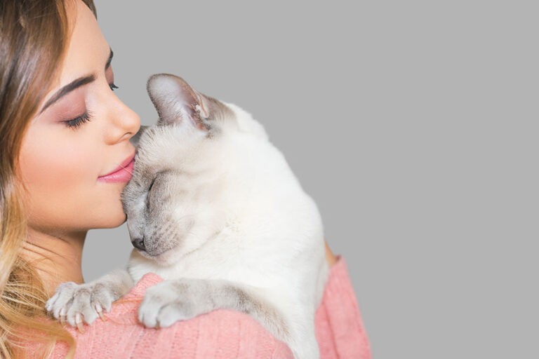 How To Strengthen Your Bond With Your Cat