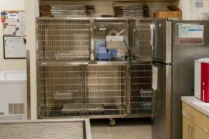 Metal Pet Enclosures