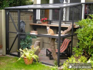 catio