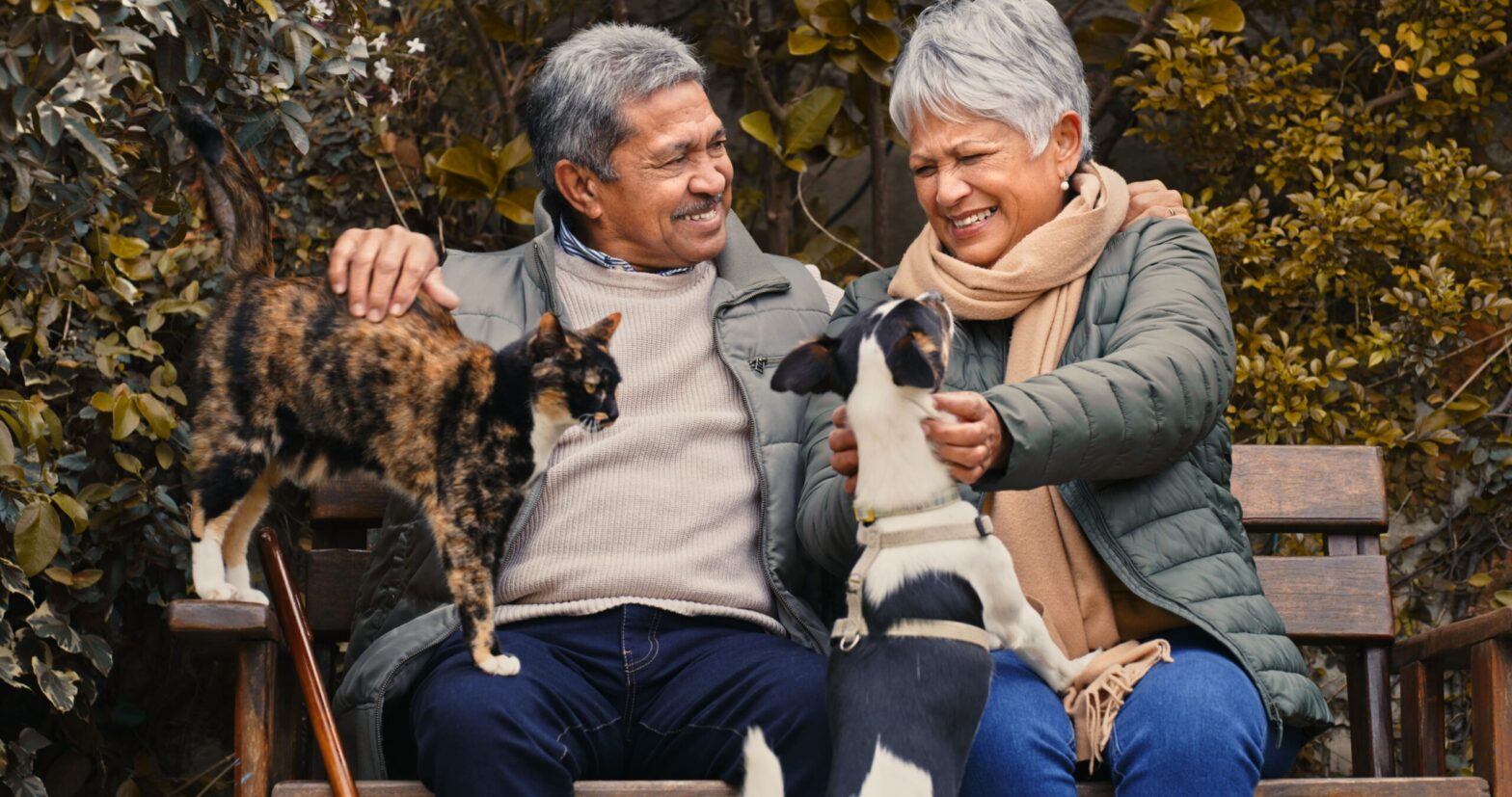 Featured image for post: Paws and Consider—What Your Pet Really Wants From You