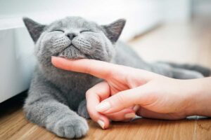 the gift of intentional time