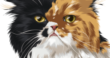 urgentvet pet clinic locations for veterinary urgent care for cats - desktop photo urgentvet pet clinic locations for veterinary urgent care for cats - desktop photo