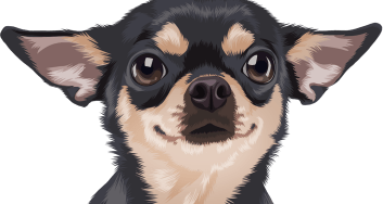urgentvet pet clinic locations for veterinary urgent care for dogs - desktop photo urgentvet pet clinic locations for veterinary urgent care for dogs - desktop photo