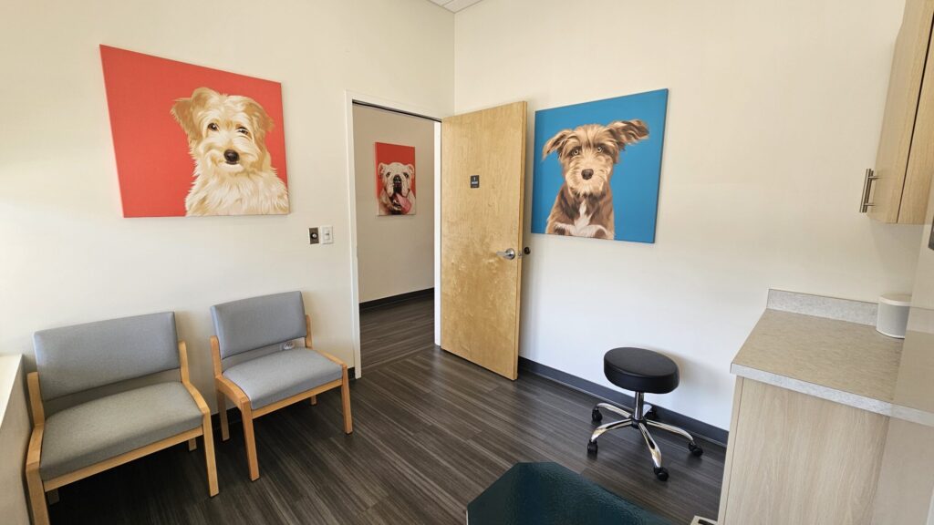 UrgentVet Dog Room scaled 2 UrgentVet Dog Room scaled 2