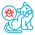 pet skin allergies icon urgent vet services