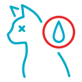 excessive drinking dehydration in dogs and cats icon urgent vet services