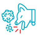 sneezing and coughing dogs icon urgent vet services
