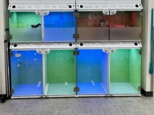 Casco Enclosures scaled 3 copy Casco Enclosures scaled 3 copy