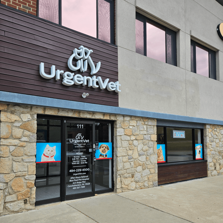 UrgentVet Wayne vet clinic low cost emergency vet in Wayne pa