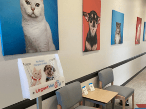 UrgentVet sittingroom UrgentVet sittingroom