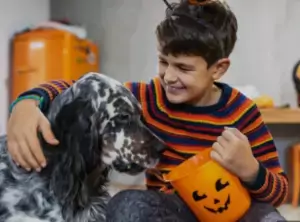 pets and candy pets and candy