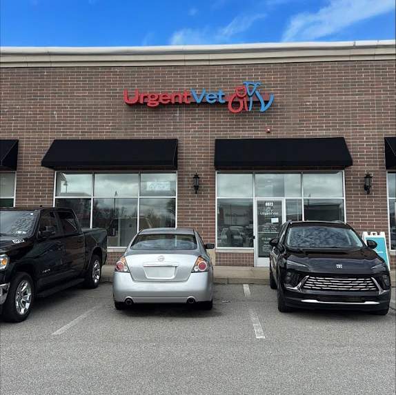 McCandless Urgent Vet Clinic | McCandless, PA