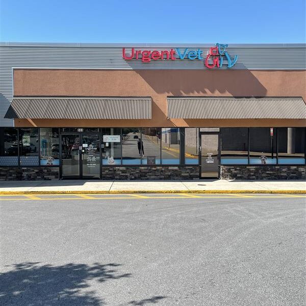 Urgent Vet in Greenville Emergency Vet Greenville, SC UrgentVet Greenville After Hours Veterinary Urgent Care Clinic