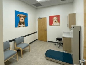 UrgentVet ExamRoom UrgentVet ExamRoom