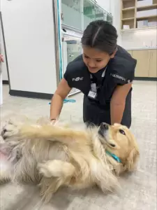 UrgentVet Dog Treated UrgentVet Dog Treated