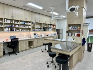 Treatment & Lab Area Treatment & Lab Area