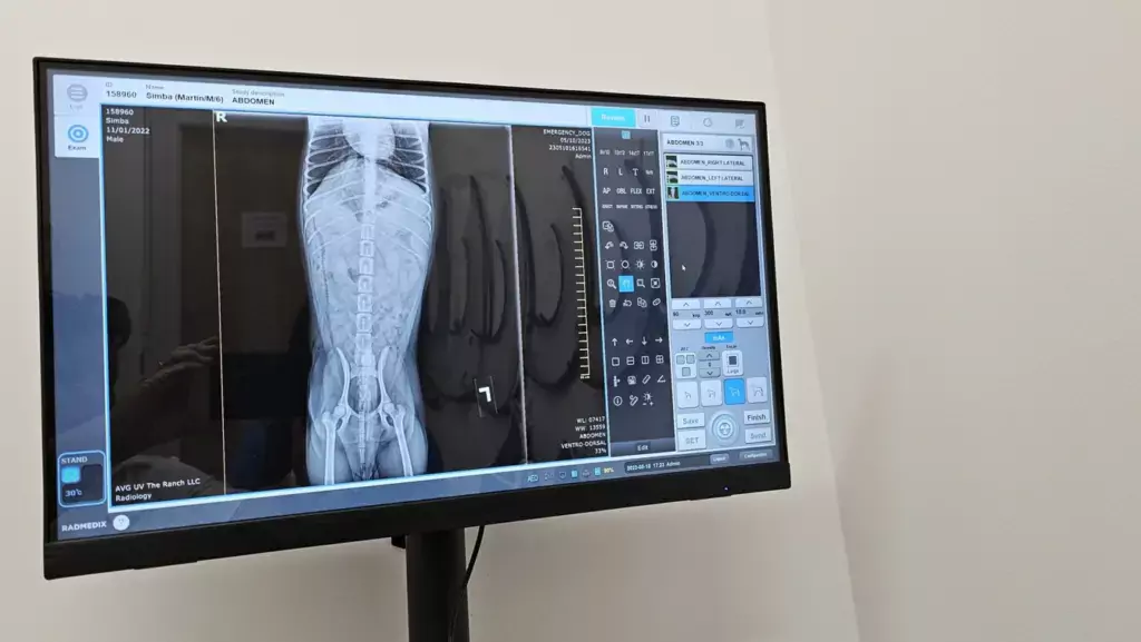 Xray UrgentVet