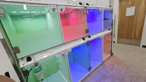 UrgentVet Casco Enclosures for Pets UrgentVet Casco Enclosures for Pets