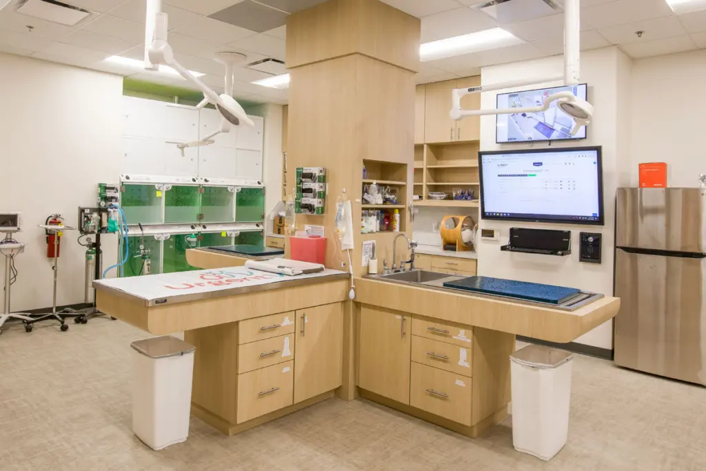 UrgentVet Treatment and Lab Area UrgentVet Treatment and Lab Area