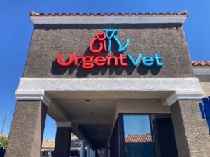 1 Apr 19 2024 10 39am rNEk 1 Apr 19 2024 10 39am rNEk