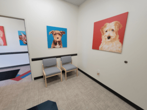 UrgentVet Pet Clinic Examination Room UrgentVet Pet Clinic Examination Room