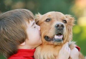 Boy Kissing Dog Boy Kissing Dog