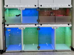 Casco Pet Enclosures Casco Pet Enclosures