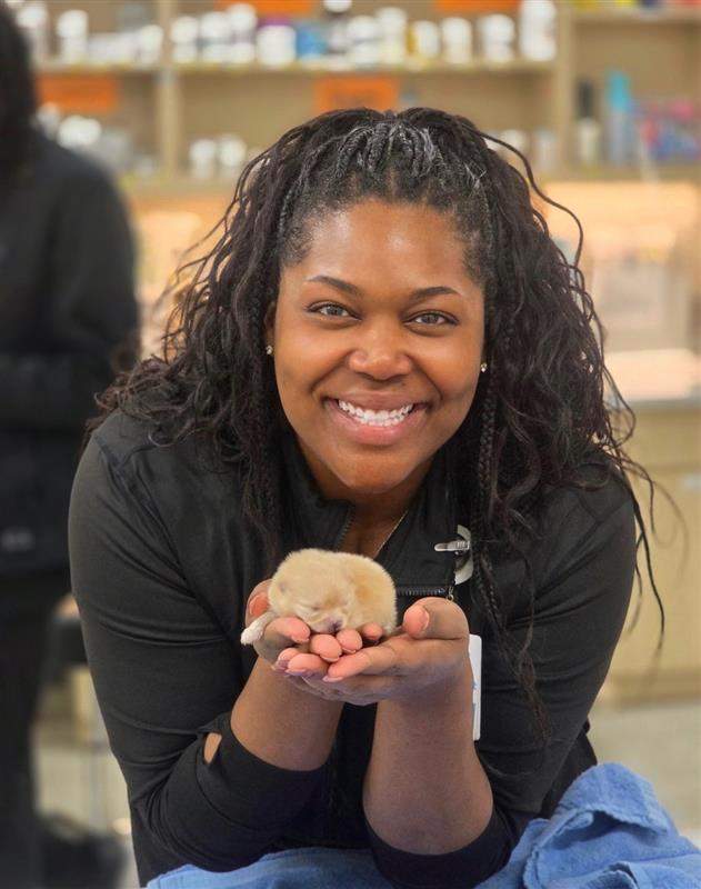 Featured image for post: Rhonda Nixon