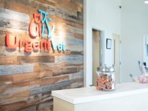 UrgentVet Check In UrgentVet Check In